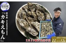2025年2月発送 厚岸産 ブランドかき カキえもん LLサイズ　[№5863-0959]