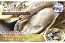2025年2月発送 北海道 厚岸産 殻かき三種 食べ比べ セット　[№5863-0961]