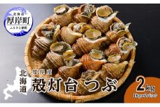 先行受付 北海道 厚岸産 殻灯台 つぶ 2kg（1kg×2パック） 魚介類 海の幸 海産物 海鮮 貝 つぶ貝 希少 下処理不要 刺身 塩茹で お酒のあて つまみ 国産 北海道産[№5863-0954]