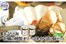 木こりと海　牡蠣の燻製 オリーブオイル漬 2個セット (1個あたり100g×2個,合計200g) ギフトボックス付[№5863-0988]