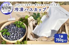 厚岸ハスカ 冷凍ハスカップ 1袋（750g） [№5863-0994]