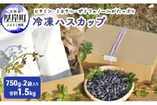 厚岸ハスカ 冷凍ハスカップ 2袋（750g×2 計1.5kg） [№5863-0995]