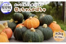 厚岸ハスカ 坊ちゃんかぼちゃ 約3kg（10～13個入り） [№5863-0996]