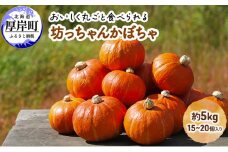 厚岸ハスカ 坊ちゃんかぼちゃ 約5kg（15～20個入り） [№5863-1000]