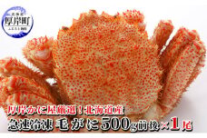 厚岸かに屋厳選 北海道産 急速冷凍 毛がに 500g前後×1尾 蟹 カニ [№5863-1001]