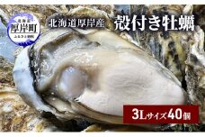 北海道 厚岸産 殻付き 牡蠣 3Lサイズ 40個 [№5863-1016]