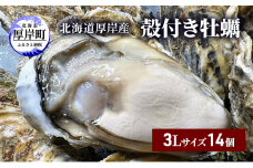 北海道 厚岸産 殻付き 牡蠣 3Lサイズ 14個 [№5863-1019]