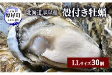 北海道 厚岸産 殻付き 牡蠣 LLサイズ 30個 [№5863-1021]