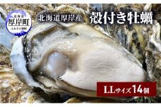 北海道 厚岸産 殻付き 牡蠣 LLサイズ 14個 [№5863-1022]