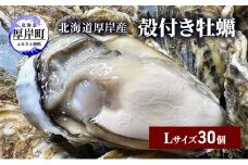 北海道 厚岸産 殻付き 牡蠣 Lサイズ 30個 [№5863-1024]