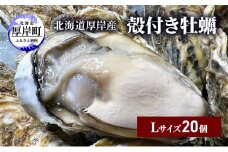 北海道 厚岸産 殻付き 牡蠣 Lサイズ 20個 [№5863-1025]