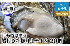 北海道 厚岸産 殻付き 牡蠣 LLサイズ 20個 お中元 特別選別品 [№5863-1034]