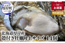 北海道 厚岸産 殻付き 牡蠣 LLサイズ 14個 お歳暮 特別選別品 [№5863-1035]