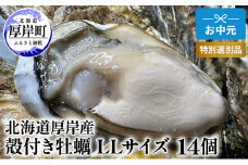 北海道 厚岸産 殻付き 牡蠣 LLサイズ 14個 お中元 特別選別品 [№5863-1036]