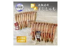 特大 北海道産 干ししゃも オス10尾・メス10尾[№5863-1040]