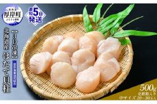 【緊急支援品】【中国禁輸施策応援品】【3D冷凍】北海道産　ほたて貝柱500g 化粧箱入り 中サイズ 20～30玉入 帆立 ホタテ 玉冷 魚貝類 肉厚 新鮮 高品質 北海道産ほたて 刺身 バター焼き フライ マリネ  [№5863-1055]