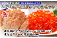 厚岸漁協イチオシ！【3D冷凍】北海道産 毛がに（約350g～400g）2尾・いくら200gセット 毛カニ 蟹 毛蟹 魚卵 魚介類 魚介  [№5863-1088]