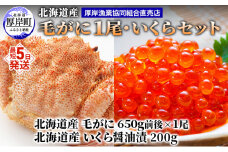 厚岸漁協イチオシ！【3D冷凍】北海道産 毛がに（約650g）1尾・いくら200gセット 毛カニ 蟹 毛蟹 魚卵 魚介類 魚介  [№5863-1089]