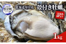 訳あり 北海道 厚岸産 殻付き 牡蠣 1kg[№5863-1063]