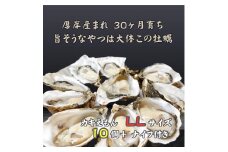 厚岸で産まれ30ヵ月育成 北海道 厚岸産 牡蠣 カキえもん LLサイズ 10個 カキ[№5863-1136]