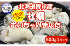 北海道 厚岸産 訳あり 牡蠣むいちゃいました  生食用 500g  カキ むき身 牡蠣[№5863-1140]