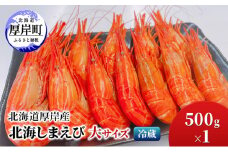 北海道 厚岸産 北海しまえび 大サイズ 500g×1 冷蔵 海老 エビ[№5863-1141]