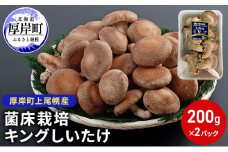 北海道産 厚岸町 上尾幌 菌床栽培 キングしいたけ 2パック[№5863-1111]