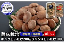 北海道産 厚岸町 上尾幌 菌床栽培 キングしいたけ プリンスしいたけ 各1パック[№5863-1112]