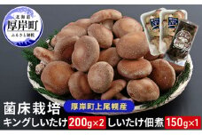 北海道産 厚岸町 上尾幌 菌床栽培 キングしいたけ 2パック しいたけ佃煮 150g×1パック[№5863-1113]