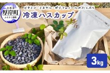 厚岸ハスカ 冷凍ハスカップ 3kg [№5863-1200]