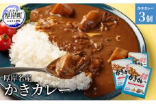 厚岸名産 かきカレー 200g×3個  北海道 牡蠣 カキ かき カレー レトルトカレー レトルト食品 [№5863-1203]
