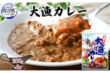 大漁カレー 200g×3個 カレー レトルト [№5863-1205]