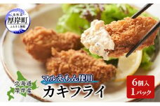 北海道 厚岸産 マルえもん使用 カキフライ 6個入 1パック　牡蠣 カキ かき フライ 揚げ物 惣菜 おかず お弁当 冷凍 簡単 手軽 便利 魚介類 海鮮 厚岸町 [№5863-1251]