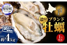 1月配送 訳あり 牡蠣 北海道厚岸産 殻付カキ 約4kg (25から50個) カキナイフ付 生食 生牡蠣 貝付き牡蠣 貝 海鮮 魚介類 殻付き牡蠣 マルえもん[№5863-1312]