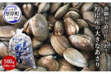 北海道 厚岸産 あさり 500g×1パック (合計500g) 大中混合 アサリ 魚貝 海 美味しい 栄養 旨み 砂出し 水洗い 冷蔵 冷凍保存可能 便利[№5863-1316]