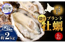 4月配送 訳あり ハーフ 規格外 牡蠣 北海道厚岸産 殻付カキ 約2kg（11～25個）カキナイフ付 生食 魚貝類 生牡蠣 かき 生カキ カキフライ マルえもん いびつな形 四季によって違う味わい コクがあり濃厚 [№5863-0887]