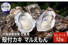 北海道厚岸産 生食用 殻付カキ LLサイズ  12個　マルえもん 魚貝類 海の幸 海のミルク 海鮮 国産 北海道産 オイスター つまみ お酒 あて 肴 生牡蠣 メルマガ掲載商品1 [№5863-1365]
