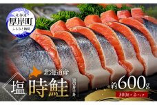 北海道産 塩時鮭 姿切身（半身） 約600g （300g×2パック） [ 鮭 さけ 時鮭 貴重 焼き魚 魚 魚介類 サケ ] [№5863-1380]