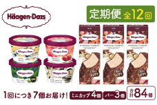 ＜全12回定期便・連続＞ハーゲンダッツ『ミニカップ＆バーセット(合計84個)』アイスクリーム アイス スイーツ デザート_102001