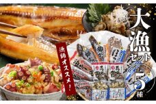 数量限定『漁師おすすめ大漁セット(合計5種)』北海道浜中町産_230601