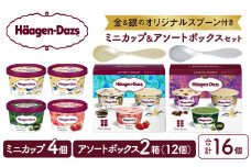 【金と銀のスプーン同梱】ハーゲンダッツアイスクリーム　アソート＆ミニカップ　バラエティセット アイス スイーツ デザート_H0026-025