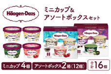 ハーゲンダッツ バラエティセット(アソート＆ミニカップ) アイス スイーツ デザート_H0026-026