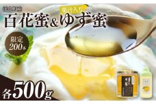 【数量限定】国産百花蜜(500g×1瓶)＆果汁入りゆず蜜(500g×1本)_310401