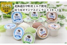北海道浜中町産ミルク使用、 ゆうゆオリジナルジェラート 1セット (120ml×12個入り)_H0033-007