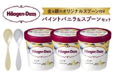 パイントバニラ＆スプーン アイス スイーツ デザート_H0026-001