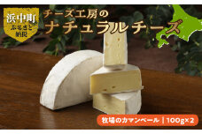 【おおともチーズ工房】牧場のカマンベールチーズ100g×2個（ハーフカット）_H0003-010