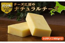 【おおともチーズ工房】レクタンチーズ100g×2個_H0003-006
