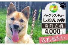 【野犬の保護活動】浜中町「ドッグレスキューしおんの会」を支援　4000円分 返礼品なし_H0039-004