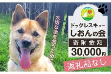 【野犬の保護活動】浜中町「ドッグレスキューしおんの会」を支援　30000円分 返礼品なし_H0039-007