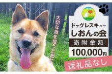 【野犬の保護活動】浜中町「ドッグレスキューしおんの会」を支援　100000円分 返礼品なし_H0039-009